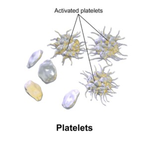 activated-platelets