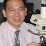 Yong Tao, MD, PhD